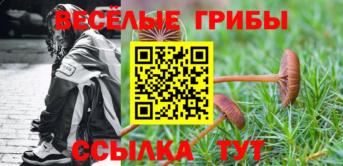 Галлюциногенные грибы прущие грибы Богданович