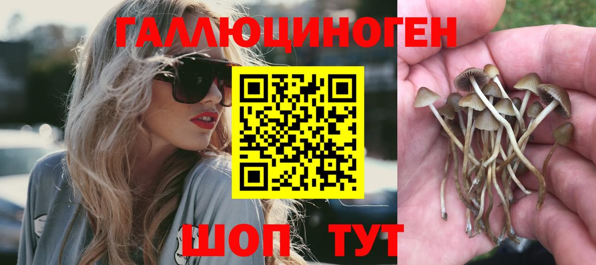 Псилоцибиновые грибы Cubensis  Псилоцибиновые грибы Psilocybe  Вход с VPN  Богданович 